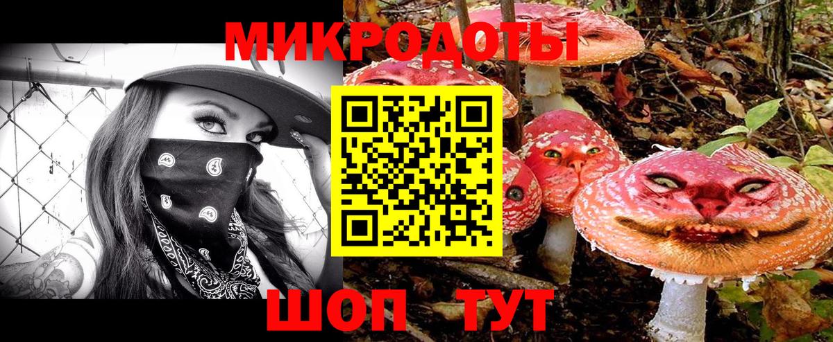Псилоцибиновые грибы Magic Shrooms  Галлюциногенные грибы MAGIC MUSHROOMS  Анапа  Вход с VPN 