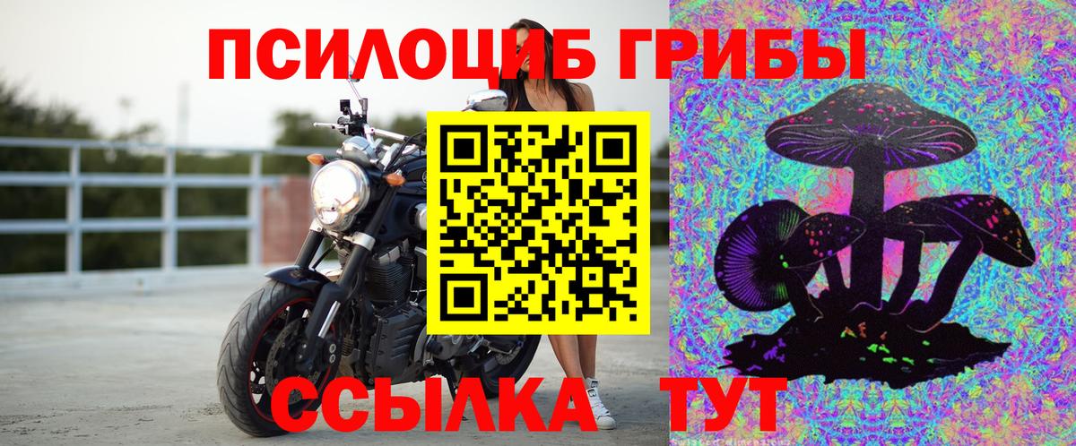 Псилоцибиновые грибы GOLDEN TEACHER Анапа