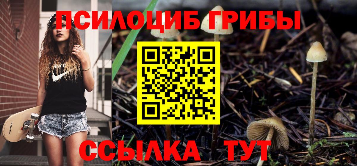 Псилоцибиновые грибы MAGIC MUSHROOMS Анапа