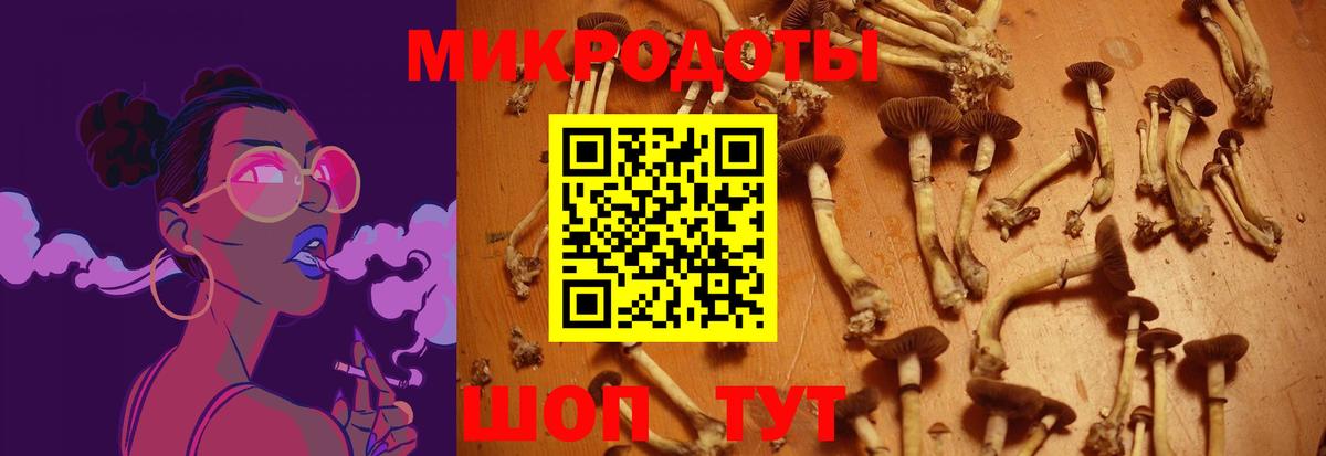 Альфа ПВП Анапа