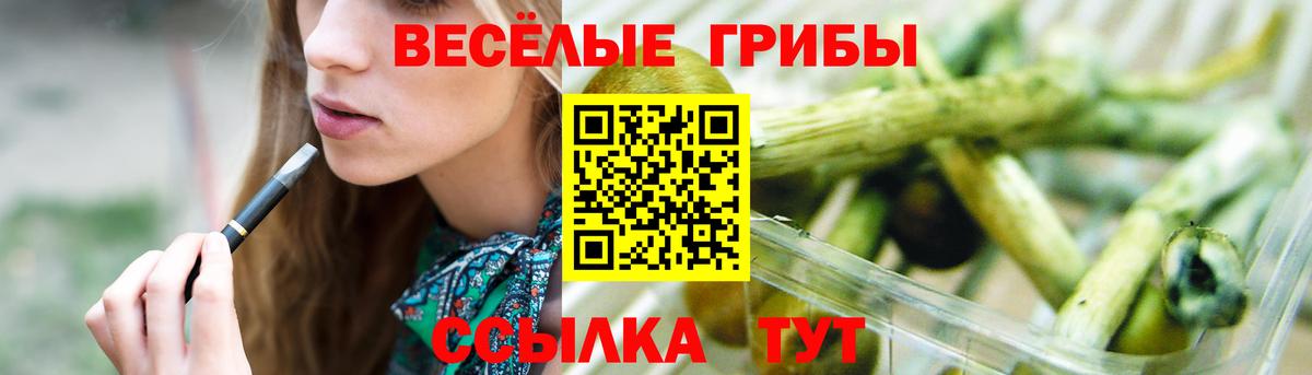 Галлюциногенные грибы GOLDEN TEACHER Анапа